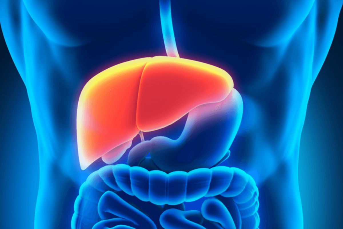 Bristol Health Guide: Liver Detox Facts and Myths